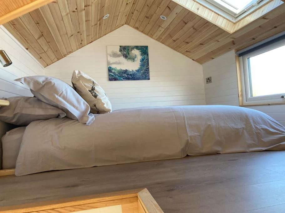 The Ashmere Tiny House Coldingham Экстерьер фото